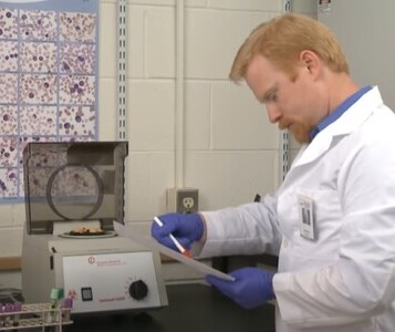 Клиника лечения наркозависимости в Вардане Врач в кабинете клиники